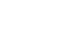 Digiskills_White_Logo.png