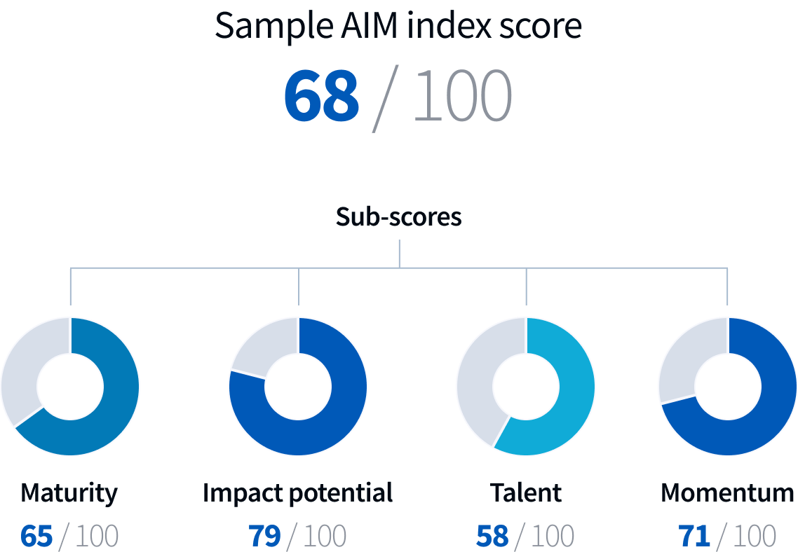 AIM index example