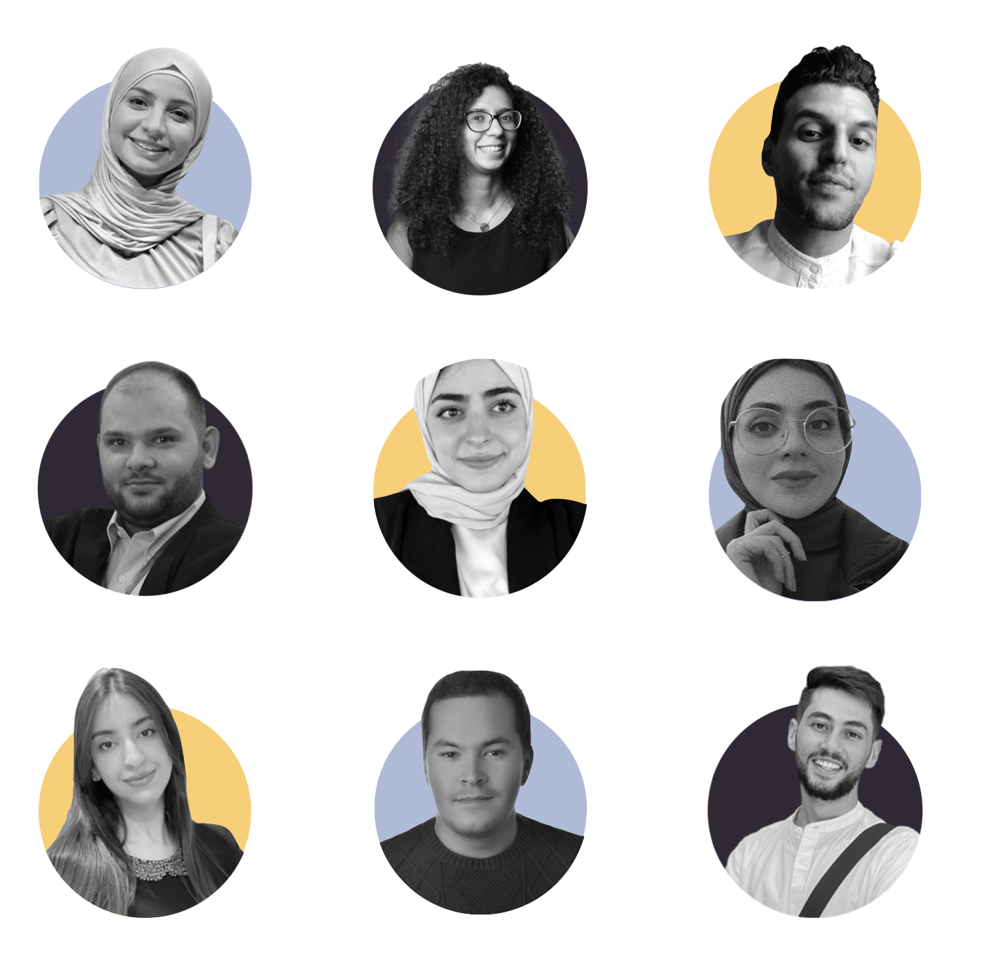 Fellows Collage Mentors.001
