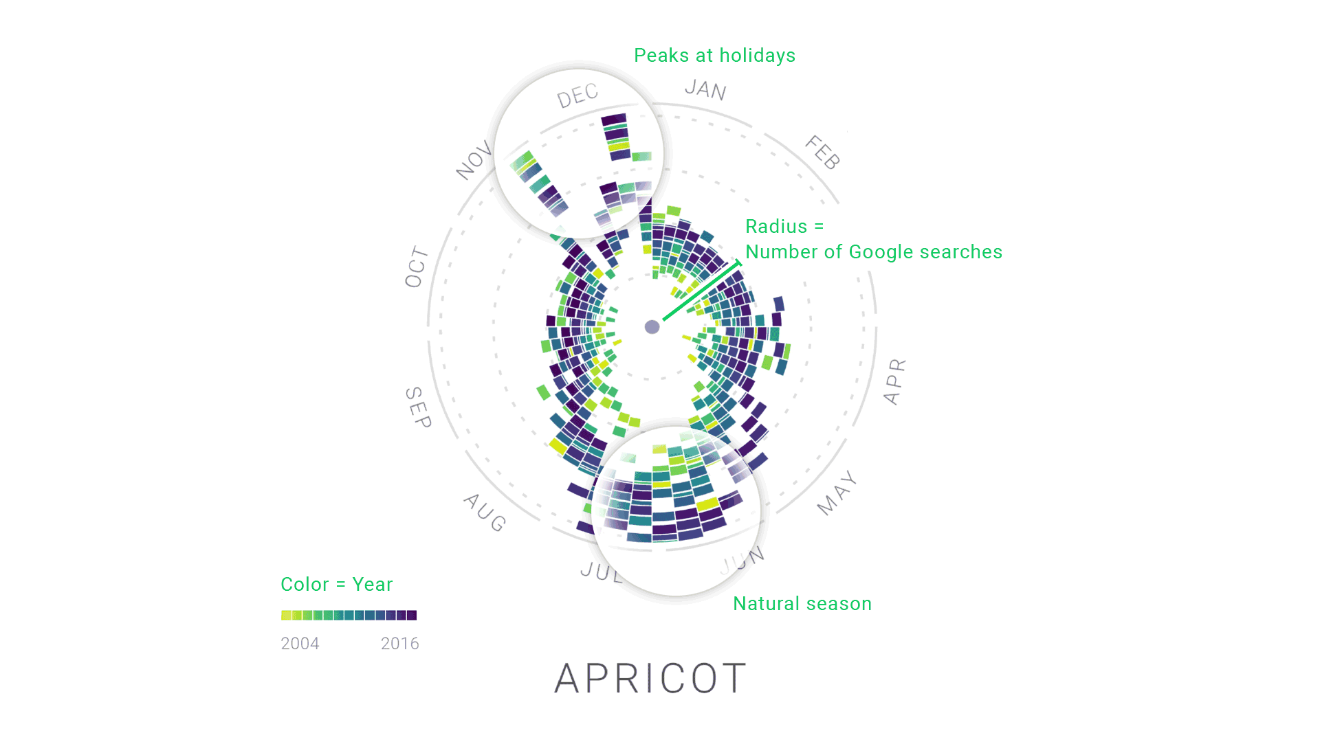 We thought the radial "year clock" chart was a really effective new way to visualize Google Trends data.