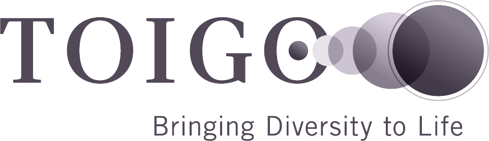 DS4A / Empowerment Impact Partners: toigo foundation
