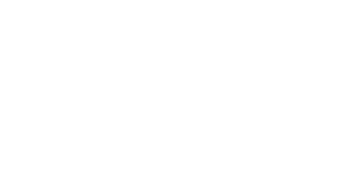 WayfairLogo White