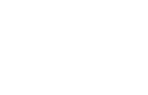 ally (2)